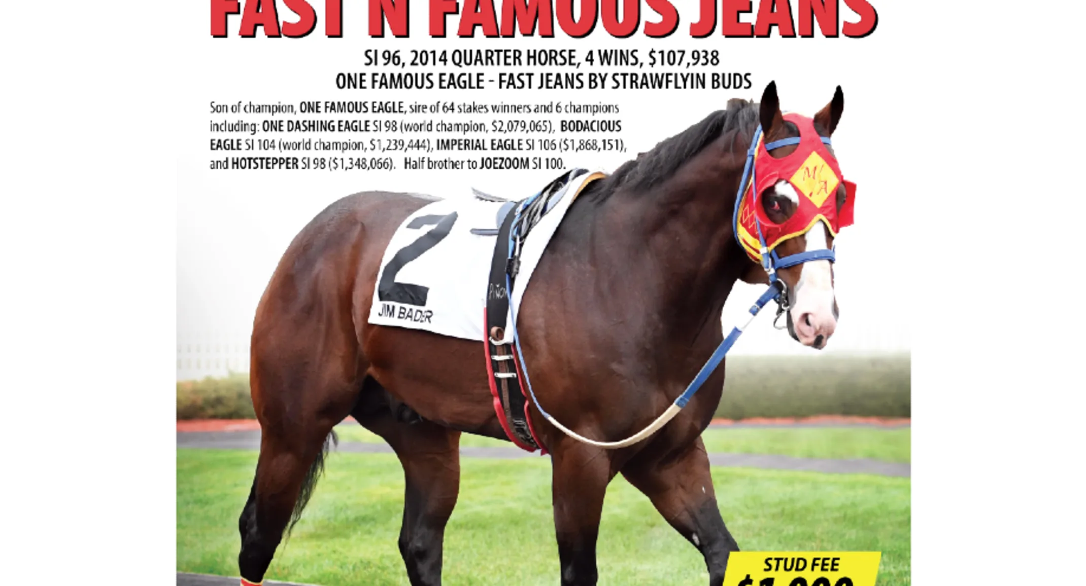 Advertisement of Fast N Famous Jeans with description and pricing